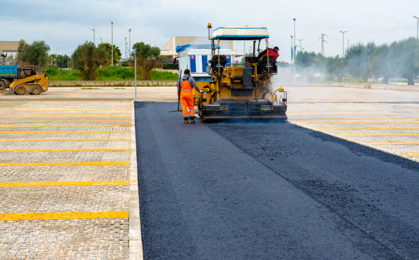 Best Local Driveway Pavers  in Meadview, AZ