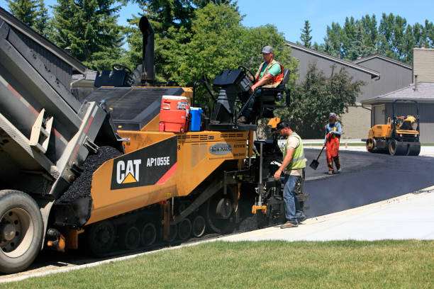 Best Driveway Pavers Cost  in Meadview, AZ